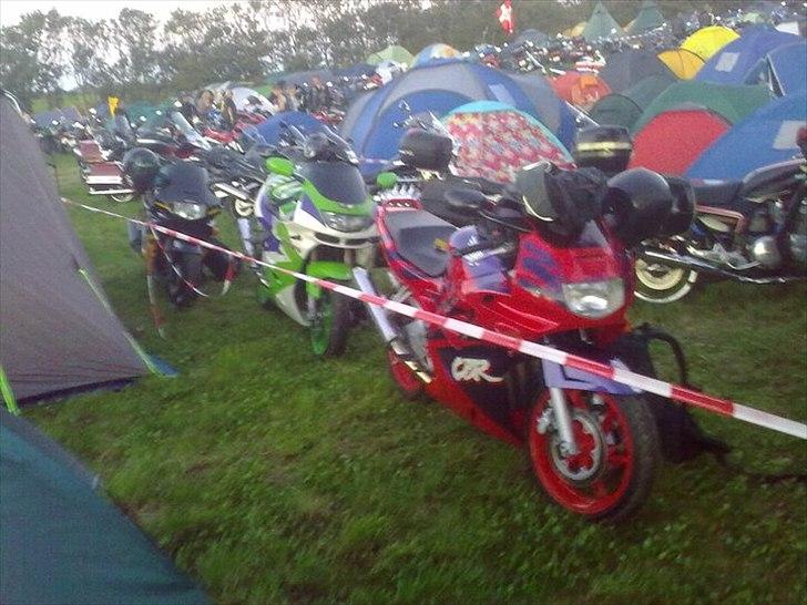 Kawasaki Ninja ZX9R - Thy Træf 2011 billede 9