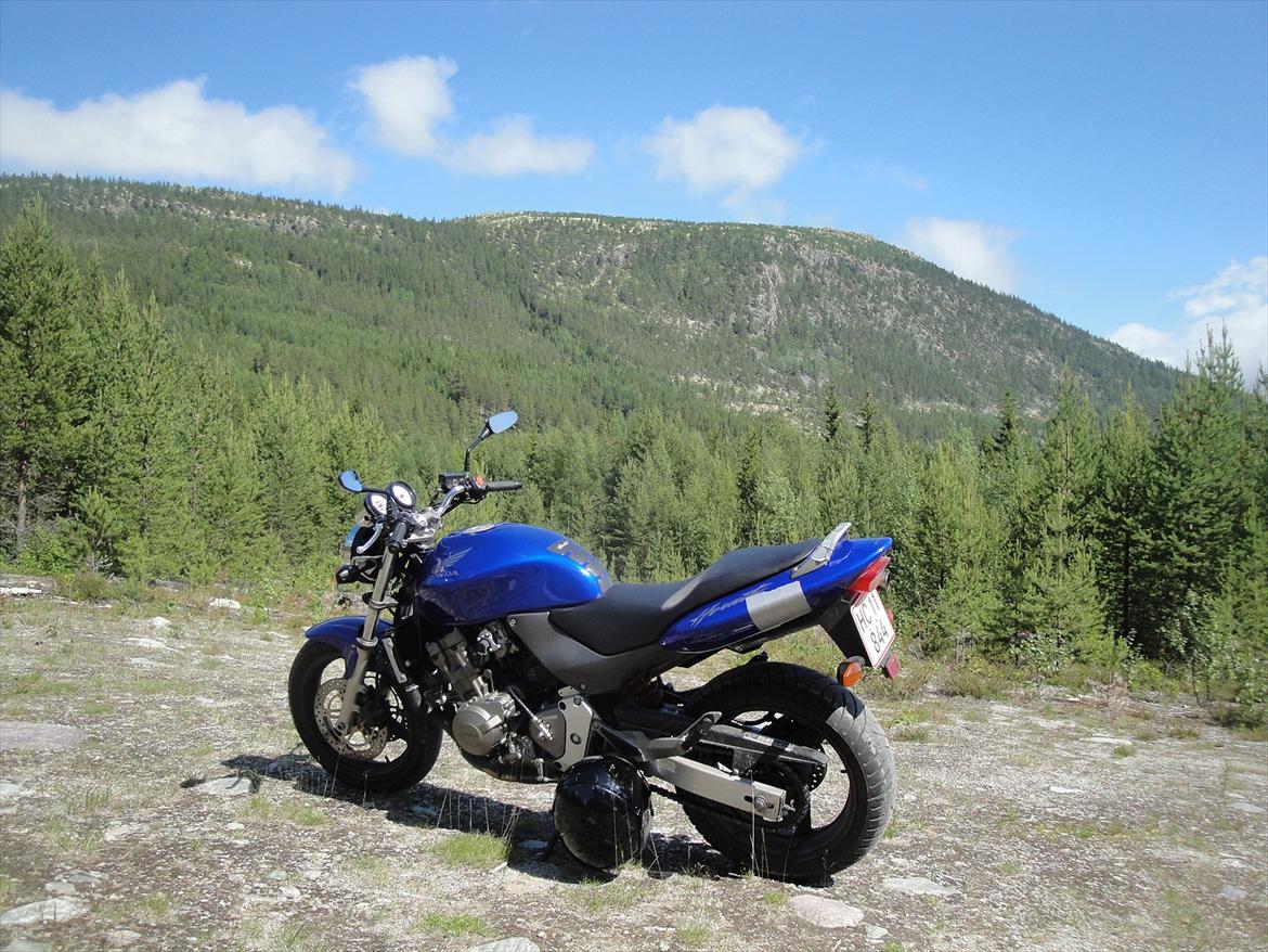 Honda Cb 600 Hårnet billede 2