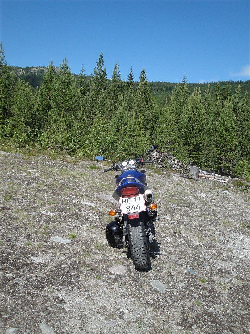 Honda Cb 600 Hårnet billede 3