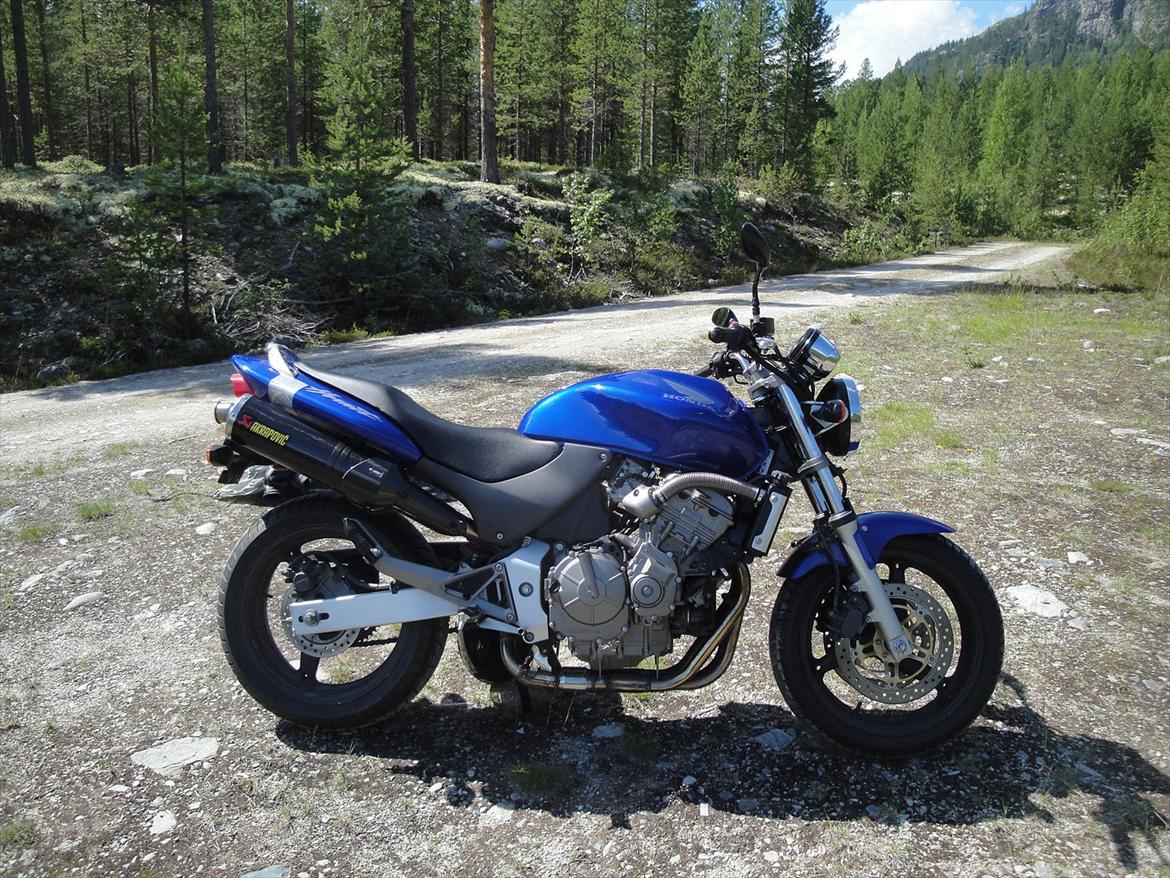 Honda Cb 600 Hårnet billede 5