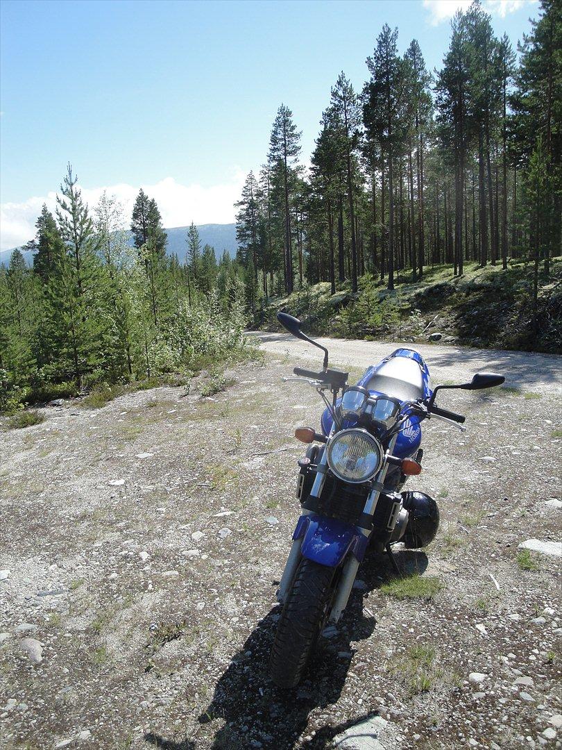 Honda Cb 600 Hårnet billede 6
