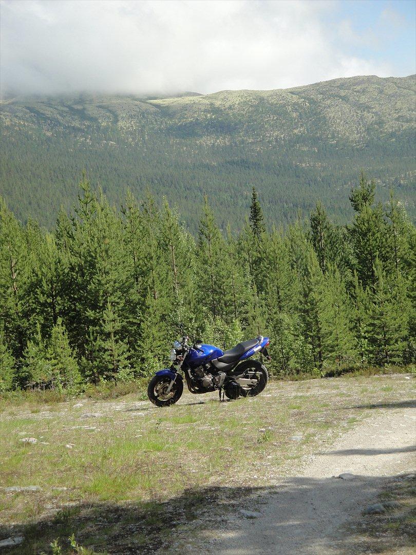 Honda Cb 600 Hårnet billede 7