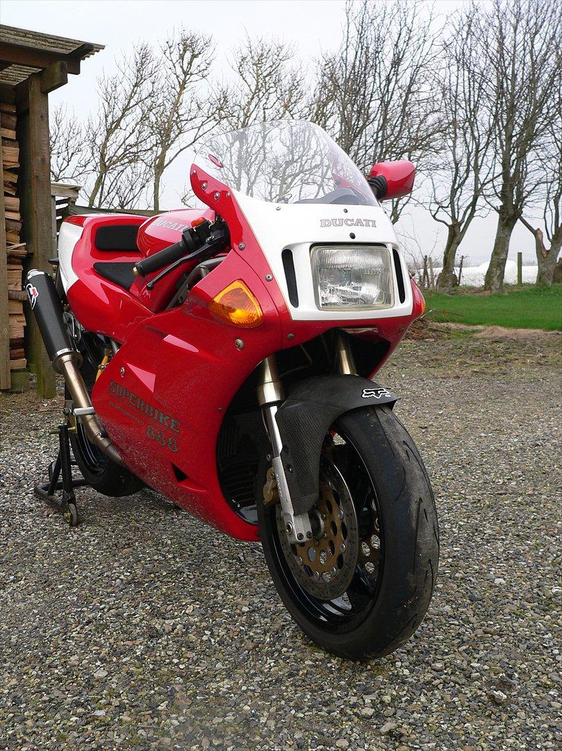 Ducati 888 billede 4