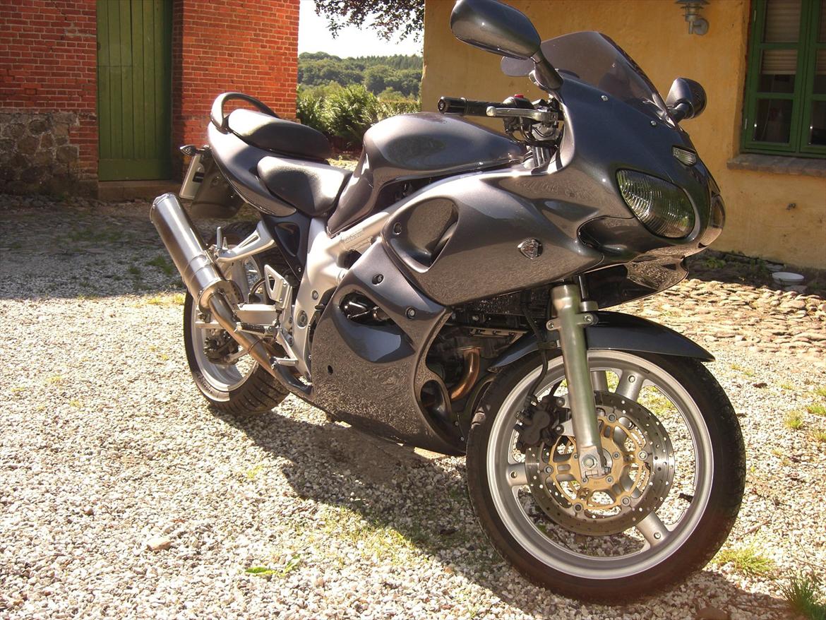 Suzuki SV 650  billede 1