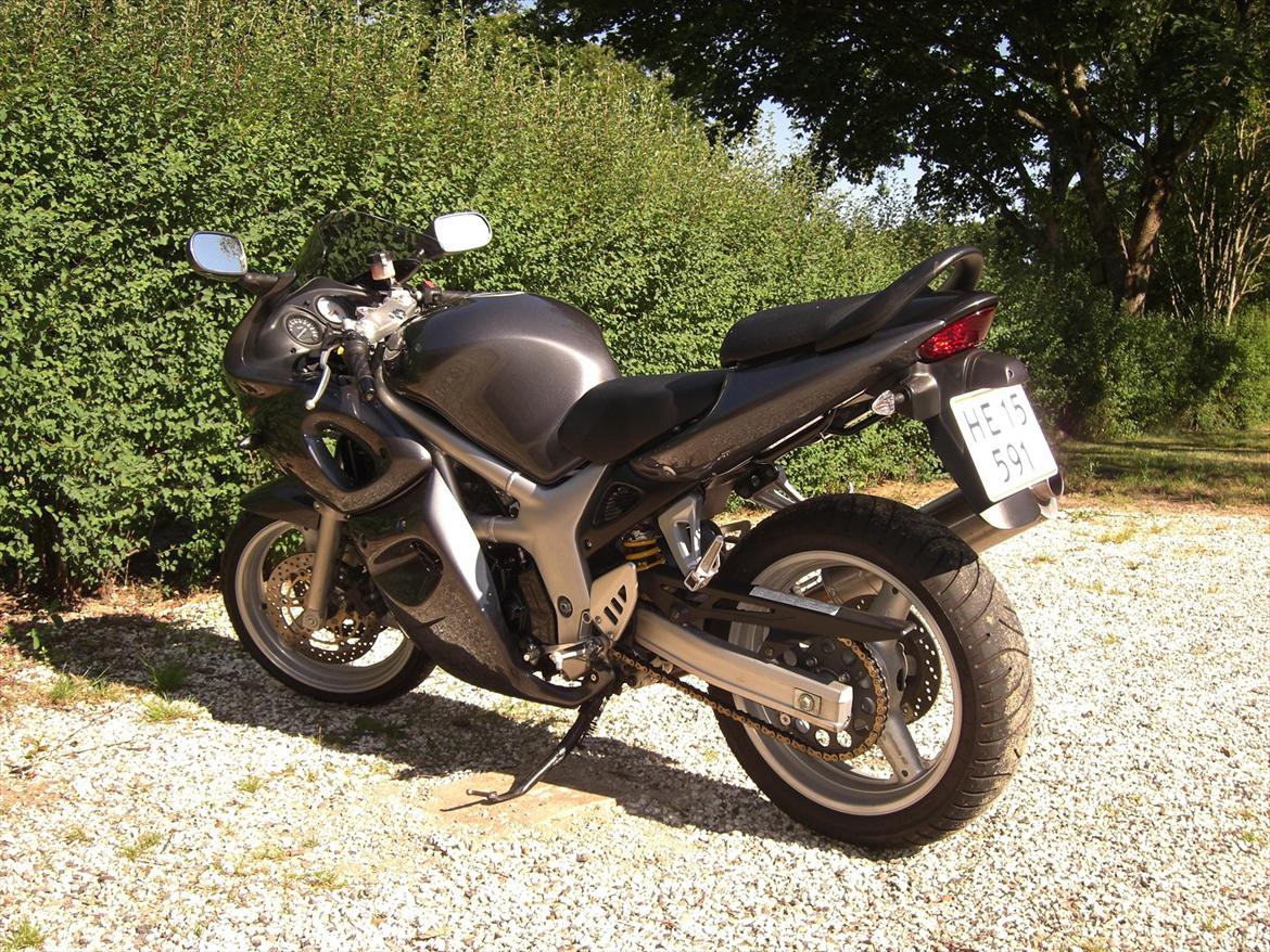 Suzuki SV 650  billede 4