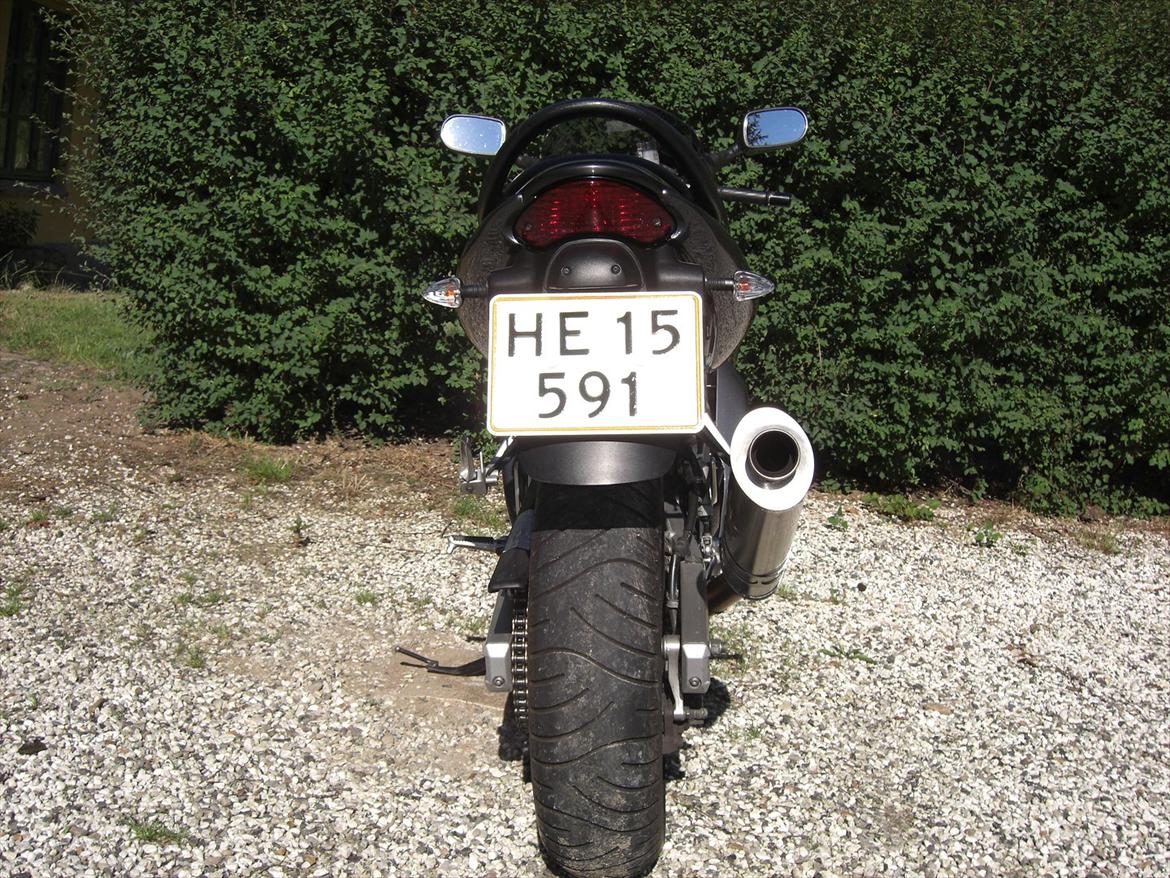 Suzuki SV 650  billede 7