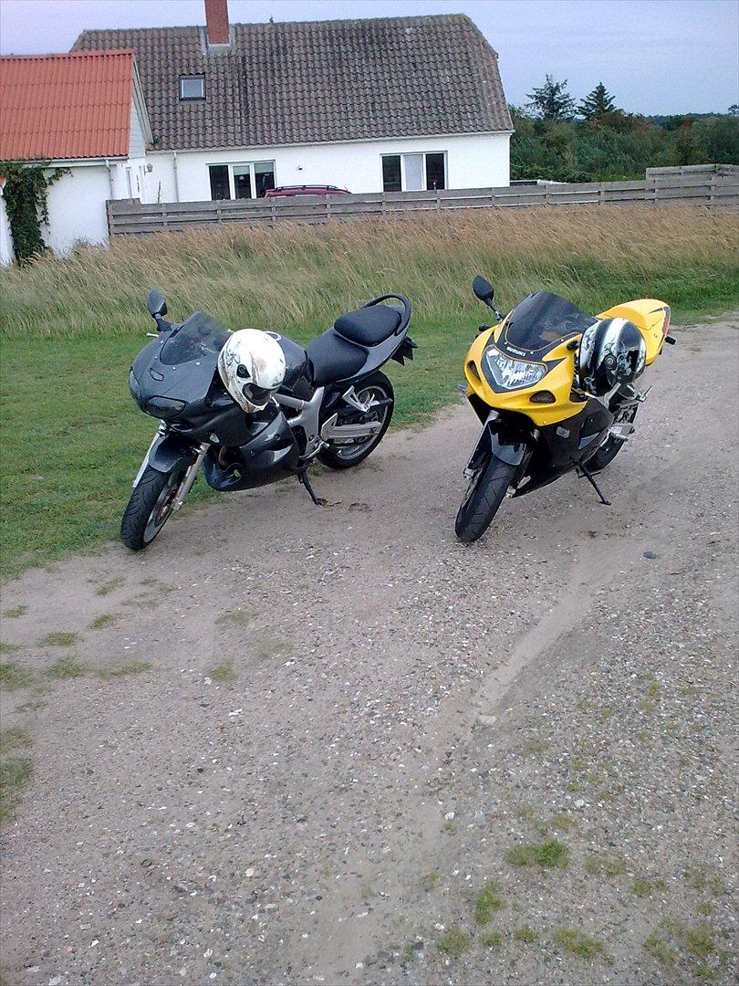 Suzuki SV 650  billede 9