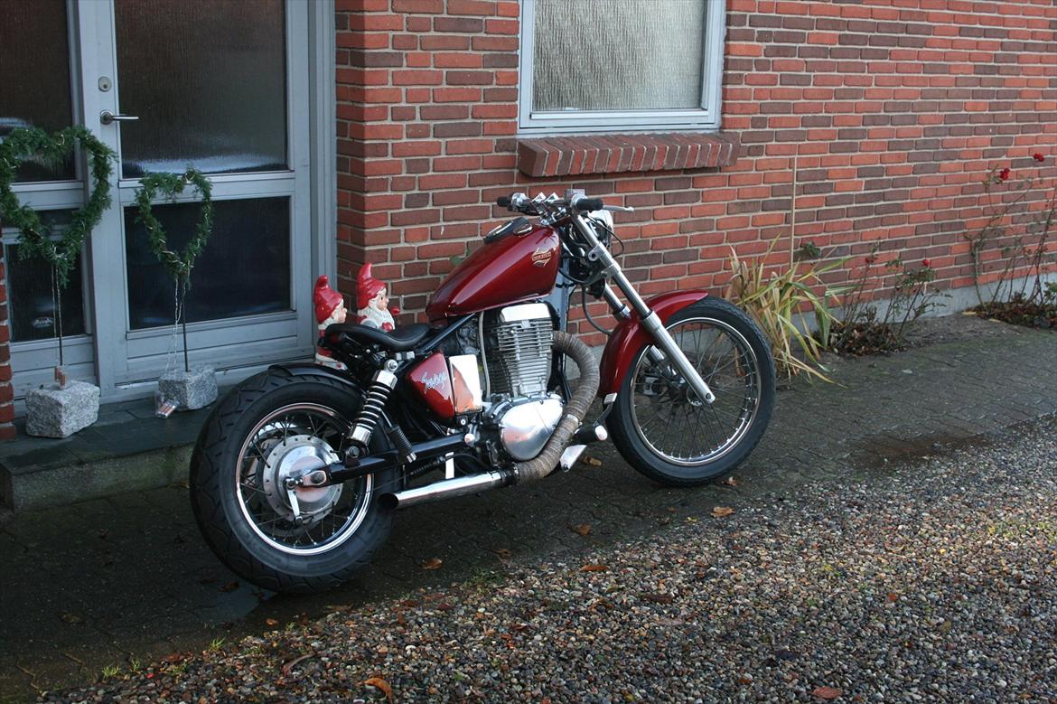 Suzuki LS 650 Savage billede 1