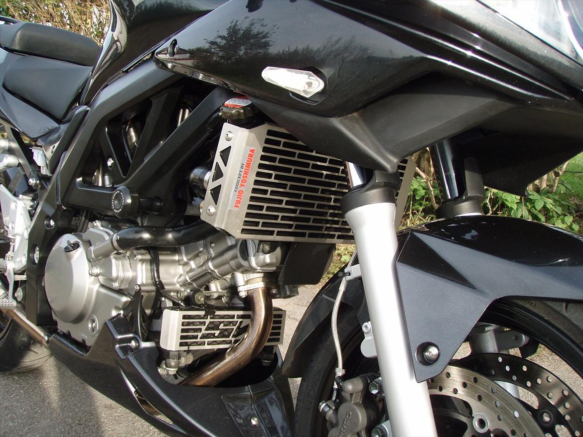 Suzuki SV 650 s billede 2