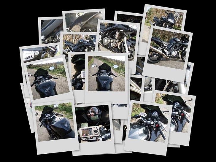 Suzuki SV 650 s billede 6