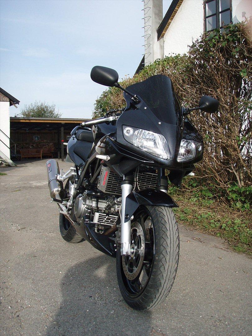 Suzuki SV 650 s billede 7