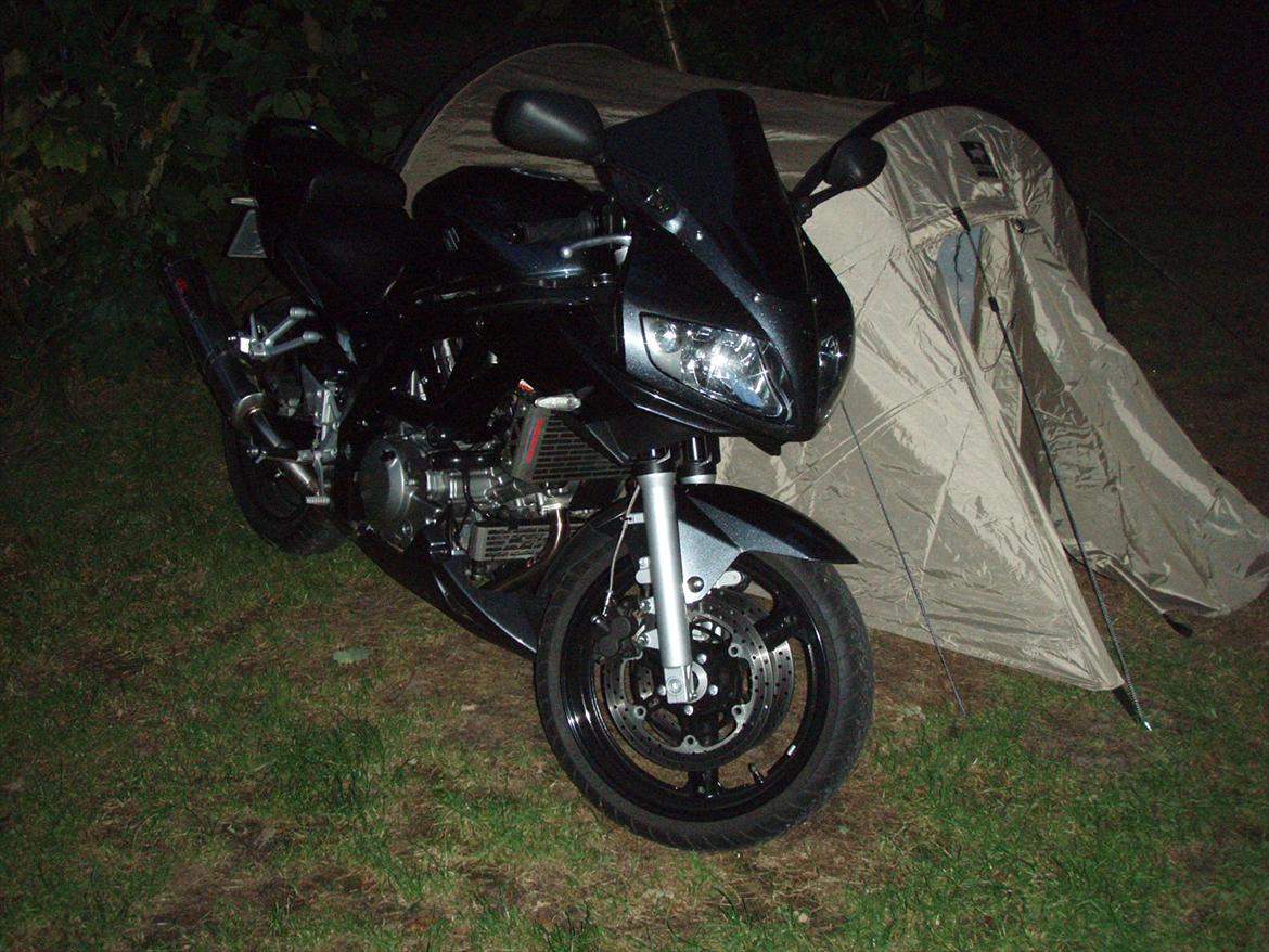 Suzuki SV 650 s billede 10