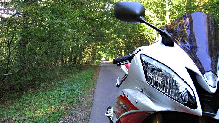 Yamaha YZF-R6 billede 1