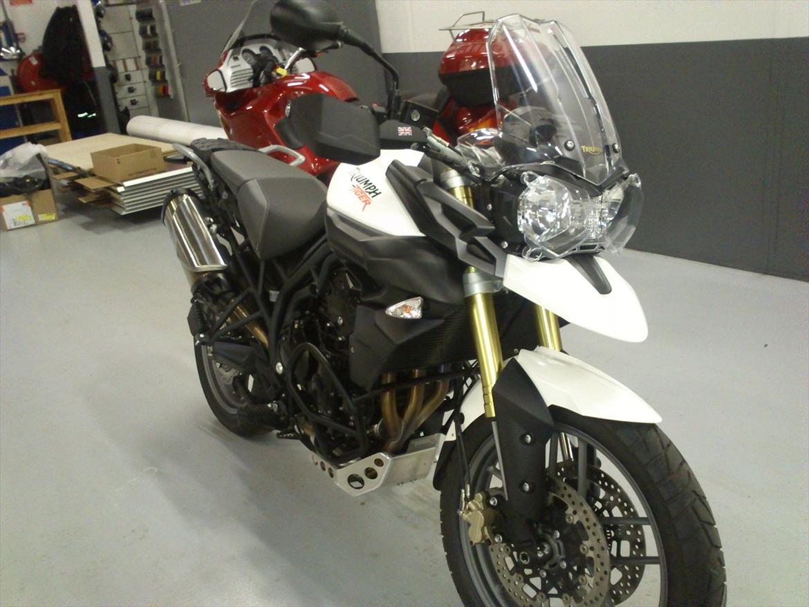 Triumph Tiger 800 billede 1