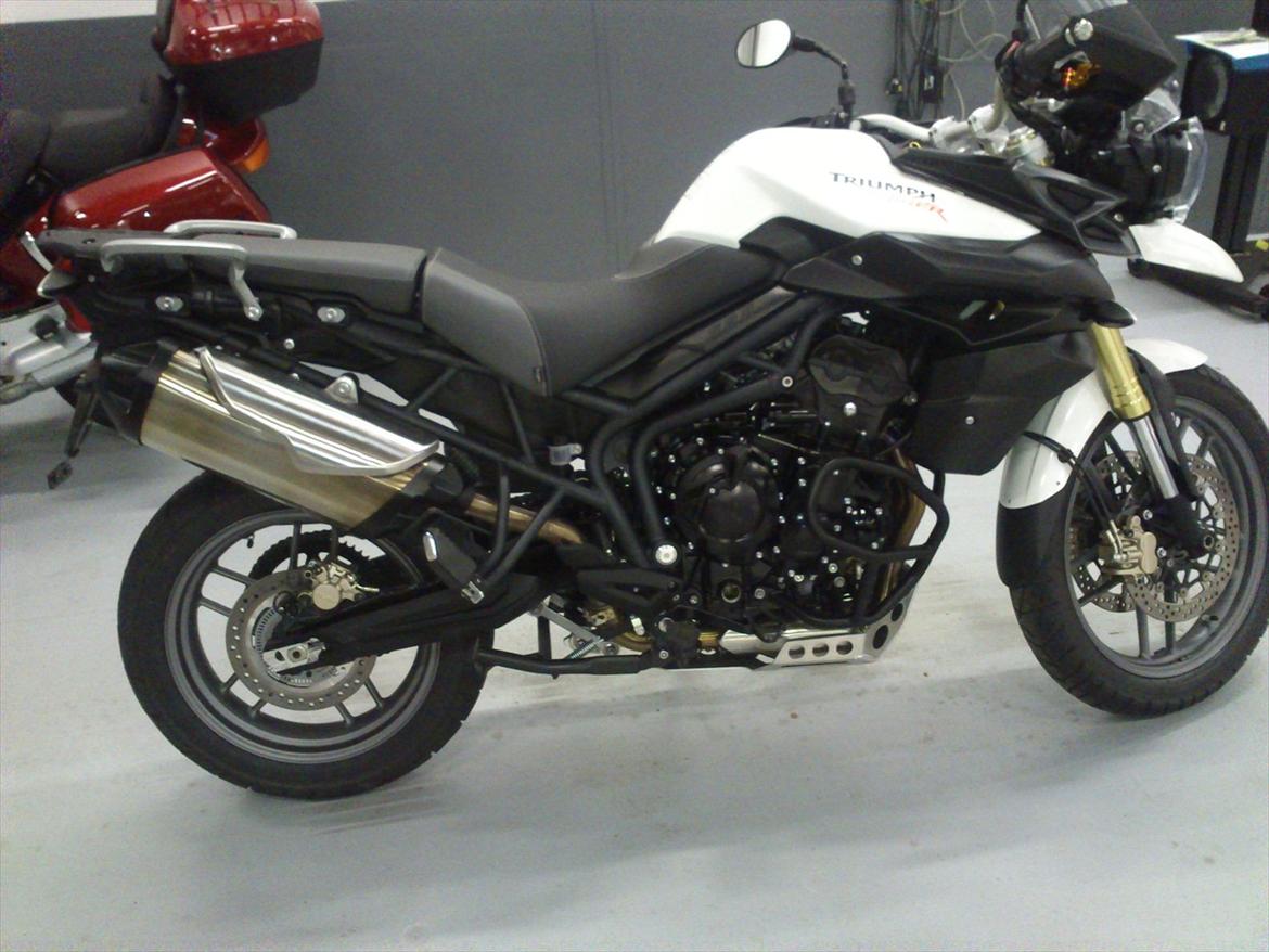Triumph Tiger 800 - Fin ser den ud billede 2