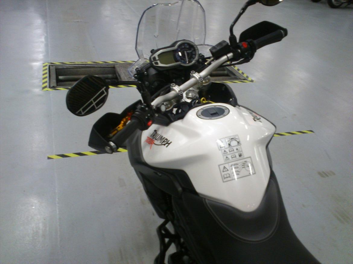 Triumph Tiger 800 - Glæder mig til at prøve den. billede 3