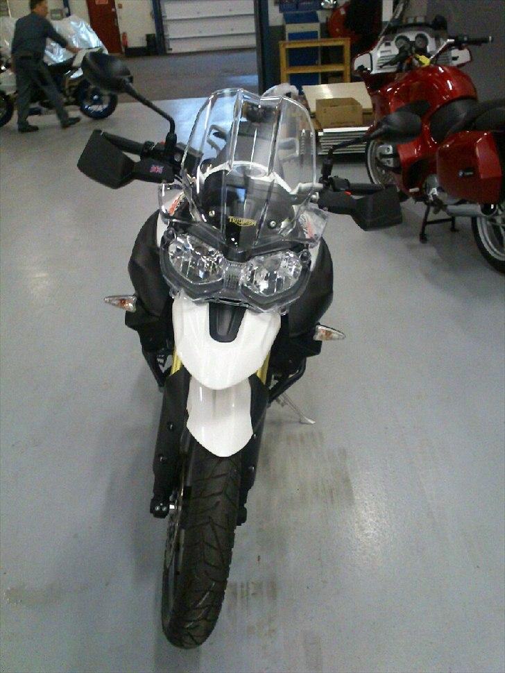 Triumph Tiger 800 billede 4