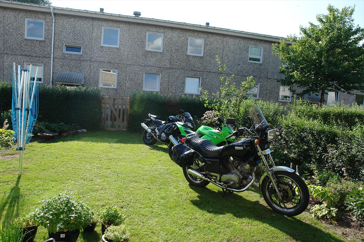 Yamaha xv 920 - Utroligt at de to andre ville gemme sig bagved ;-) billede 2