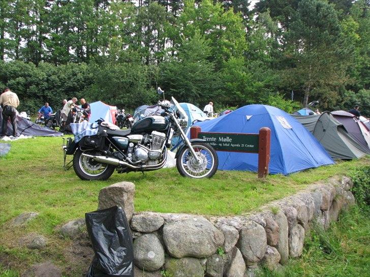 Triumph thunderbird 900 - til træf trente mølle 2011 billede 3