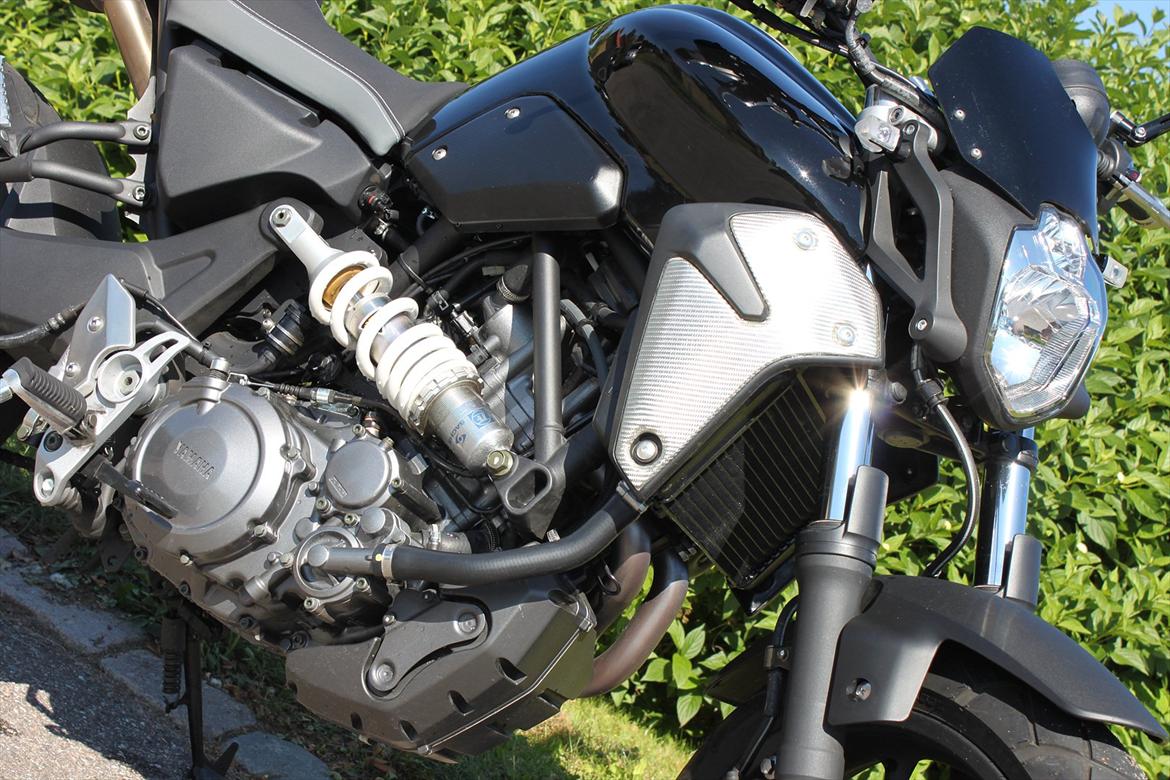 Yamaha MT 03 billede 8