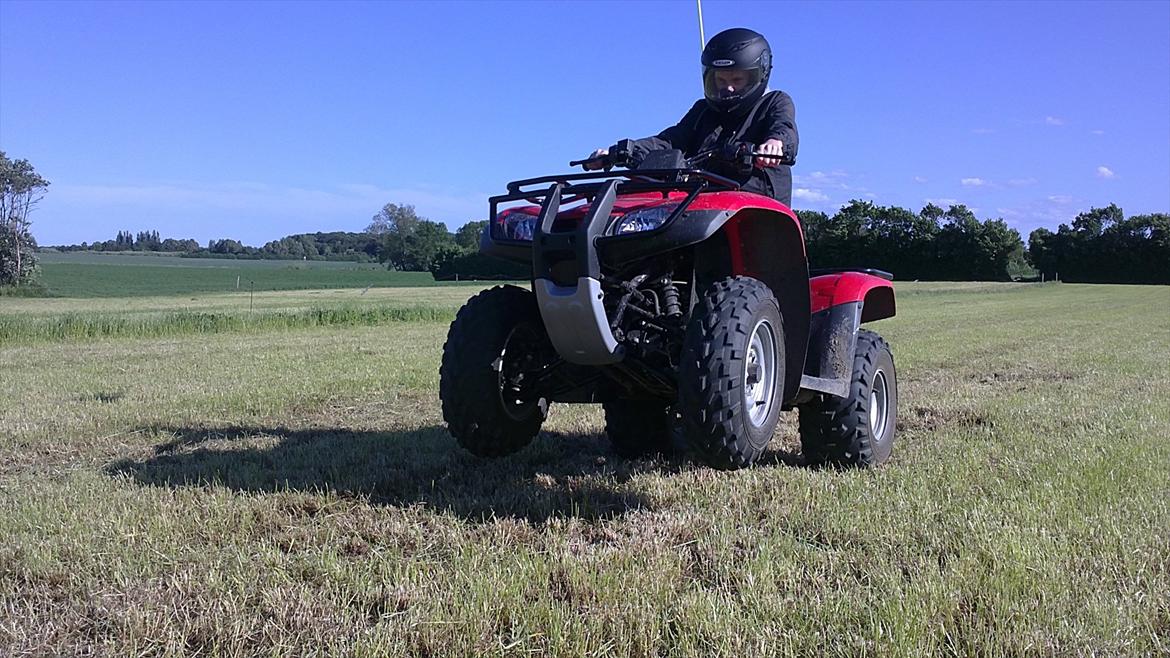 Honda TRX 250TE FourTrax billede 3