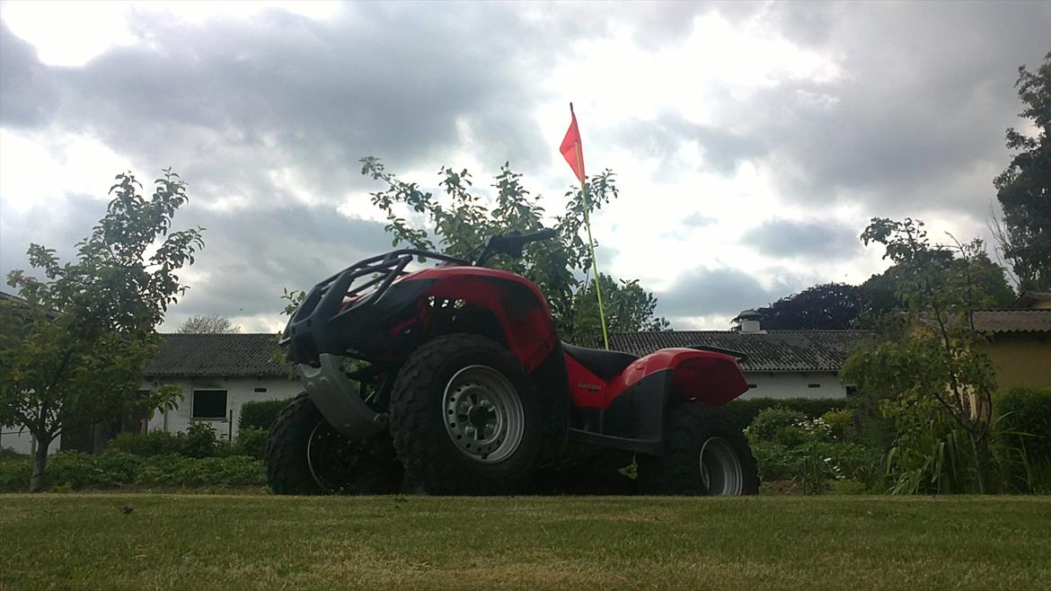 Honda TRX 250TE FourTrax billede 4