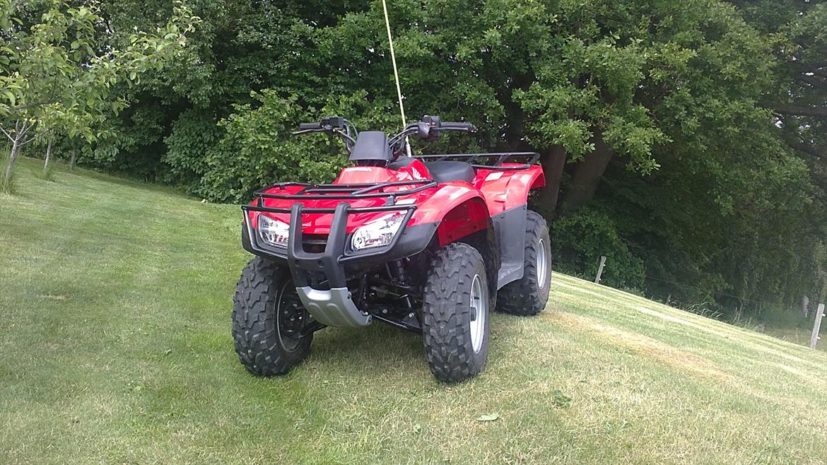 Honda TRX 250TE FourTrax billede 8