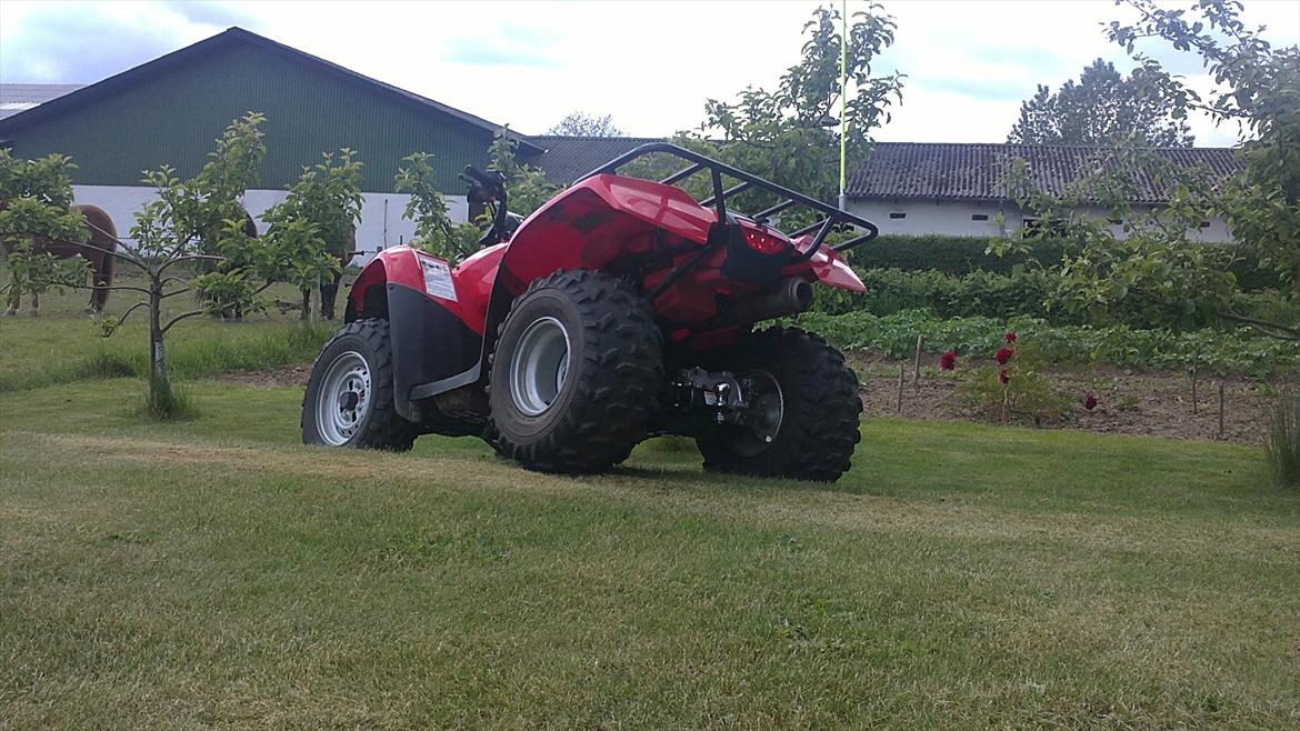 Honda TRX 250TE FourTrax billede 9