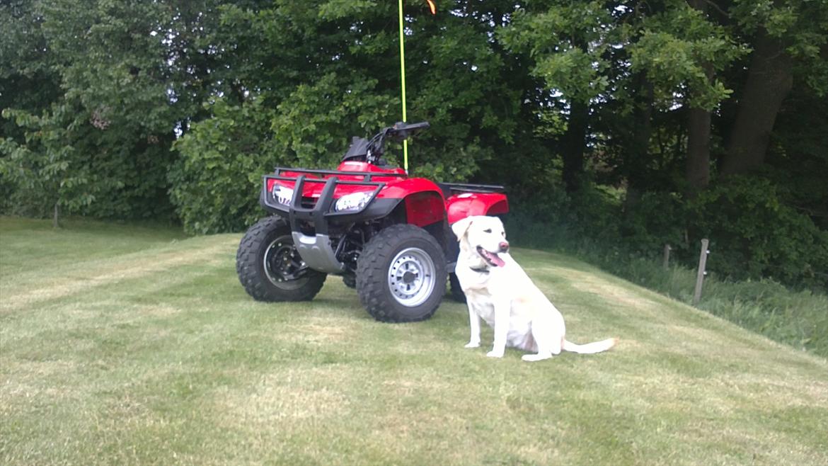 Honda TRX 250TE FourTrax billede 10