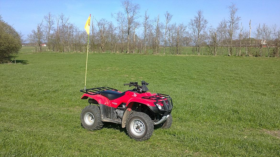 Honda TRX 250TE FourTrax billede 16