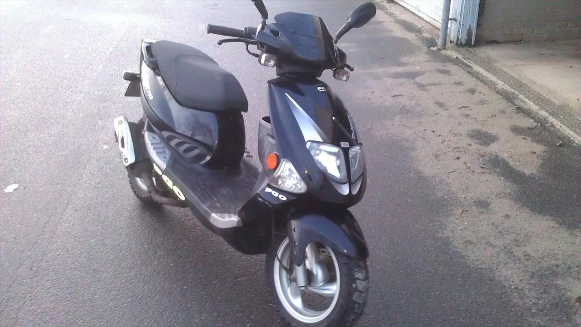 PGO T-rex 110 billede 1
