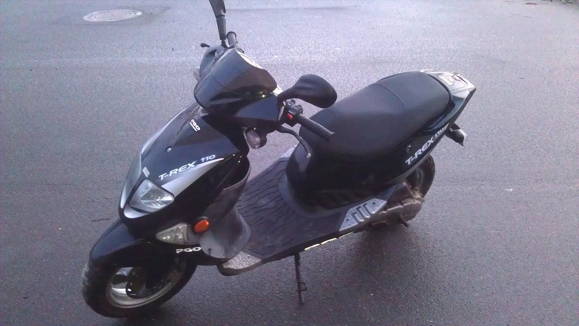 PGO T-rex 110 billede 2