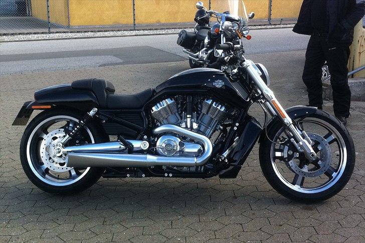 Harley Davidson H-D VRSCF V-ROD MUSCLE billede 1