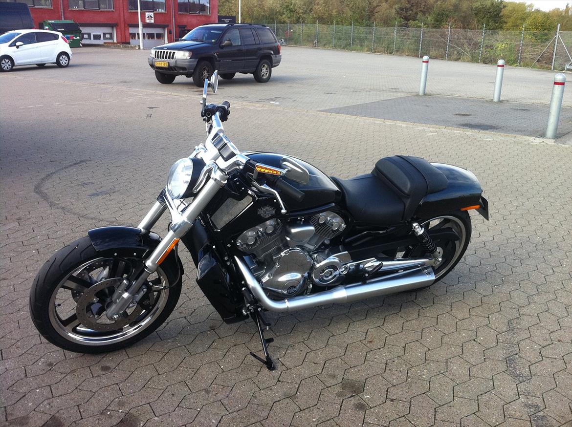 Harley Davidson H-D VRSCF V-ROD MUSCLE billede 4