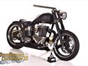 Triumph Warrior (Scandinavias Best Custom Bike 2010)