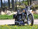 Suzuki LS 650 Savage *SOLGT*
