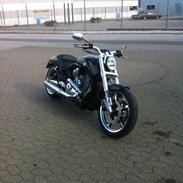 Harley Davidson H-D VRSCF V-ROD MUSCLE