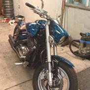 Suzuki intruder