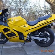Suzuki RF600R