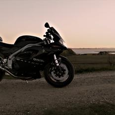 Triumph Daytona 955i CE
