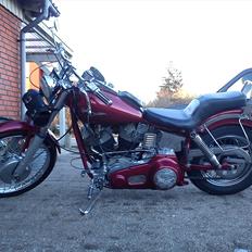 Harley Davidson Late Showel 1200ccm.
