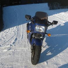 Kawasaki gpz 600 r (ZX600A) Ninja