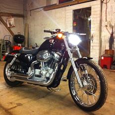 Harley Davidson sportster 883 custom