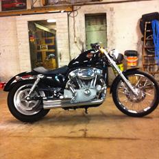 Harley Davidson sportster 883 custom