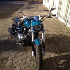 Suzuki intruder