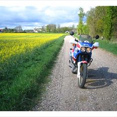 Honda XRV 650