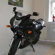 Suzuki GS 500 F