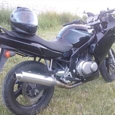 Suzuki GS 500 F