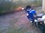 Suzuki gsxf 600 