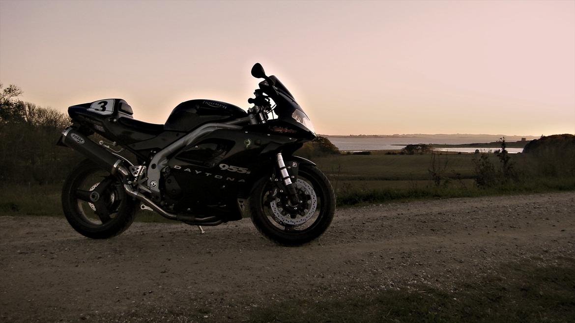 Triumph Daytona 955i CE billede 3